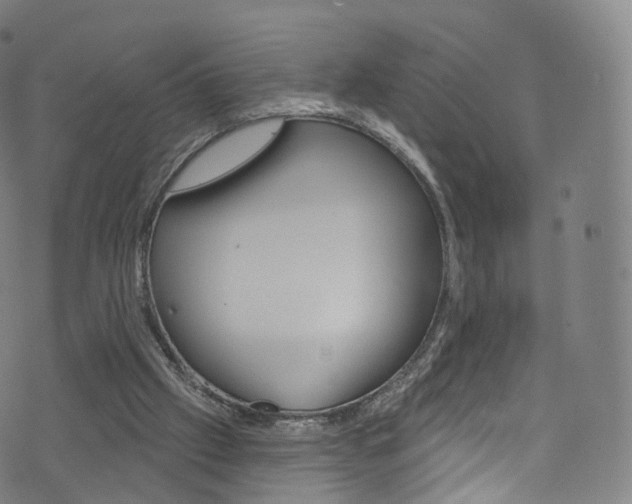 X0000076380057200610060936