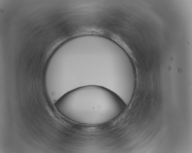 X0000076380058200610060936