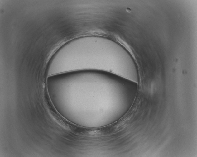 X0000076380059200610060936