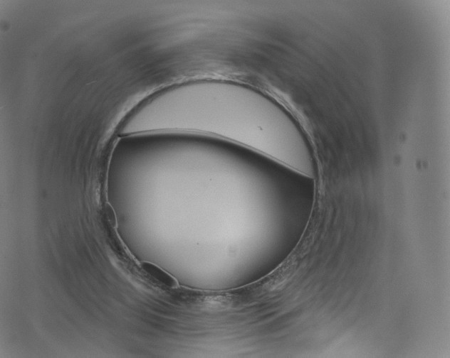 X0000076380060200610060936