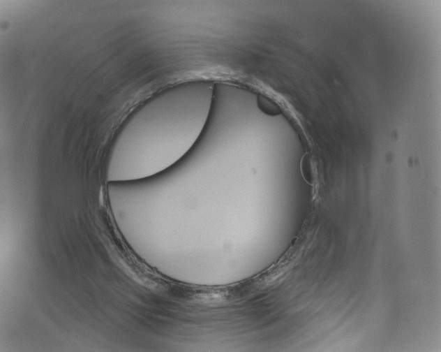 X0000076380061200610060936