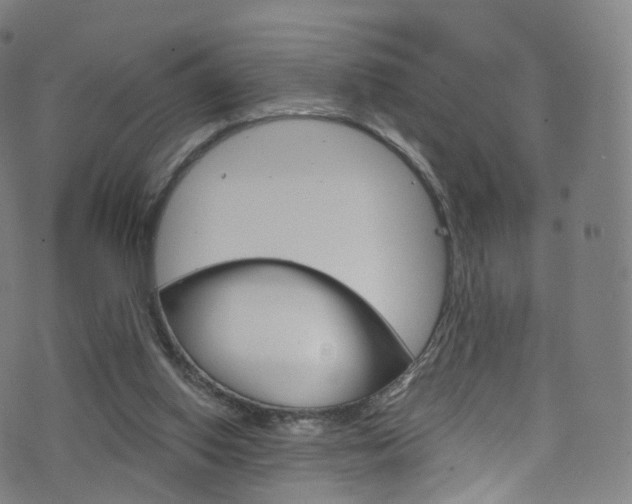 X0000076380062200610060936