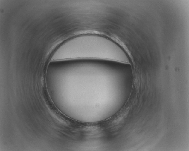 X0000076380063200610060936