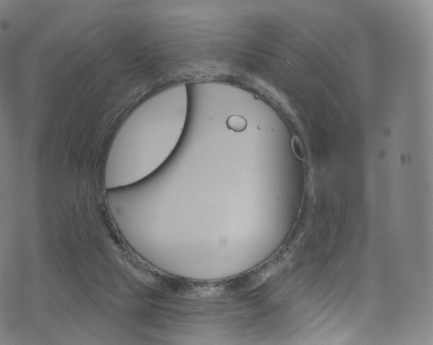 X0000076380065200610060936