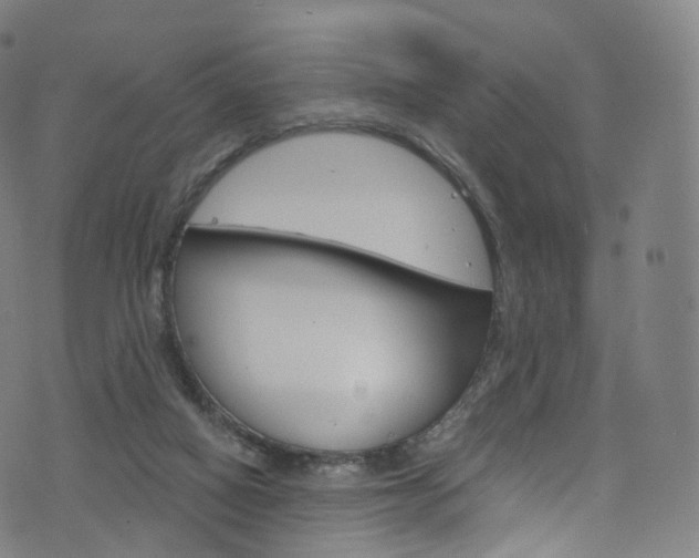 X0000076380066200610060936