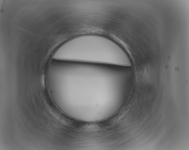 X0000076380067200610060936