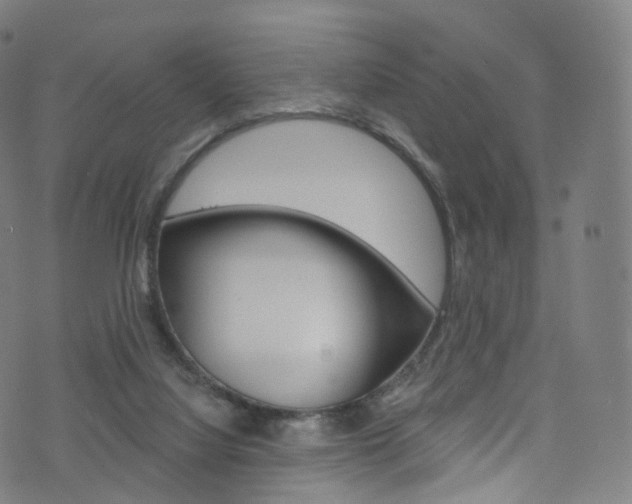 X0000076380068200610060936