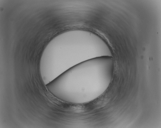 X0000076380069200610060936