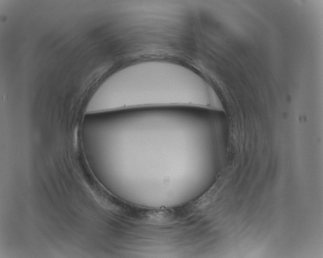 X0000076380070200610060936