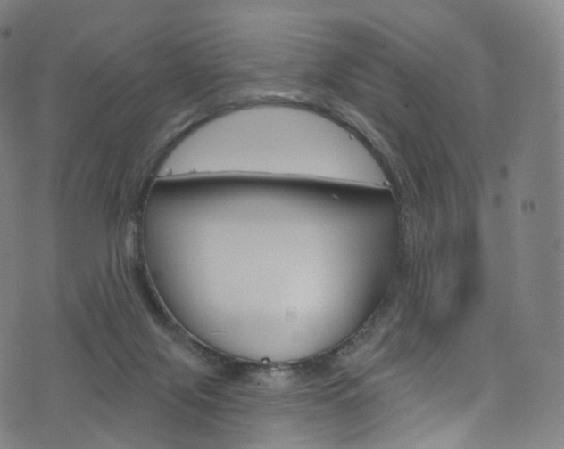 X0000076380071200610060936