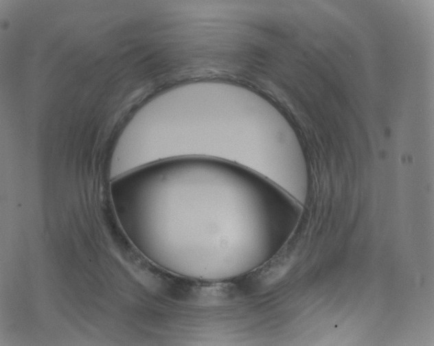 X0000076380072200610060936