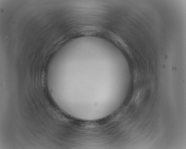 X0000076380073200610060936