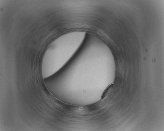 X0000076380074200610060936