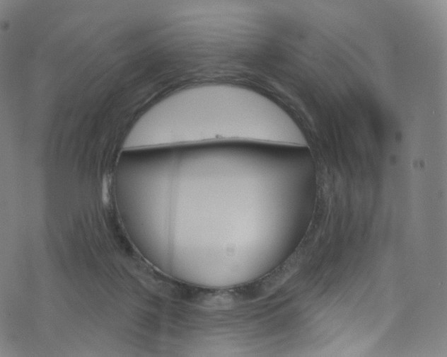 X0000076380075200610060936