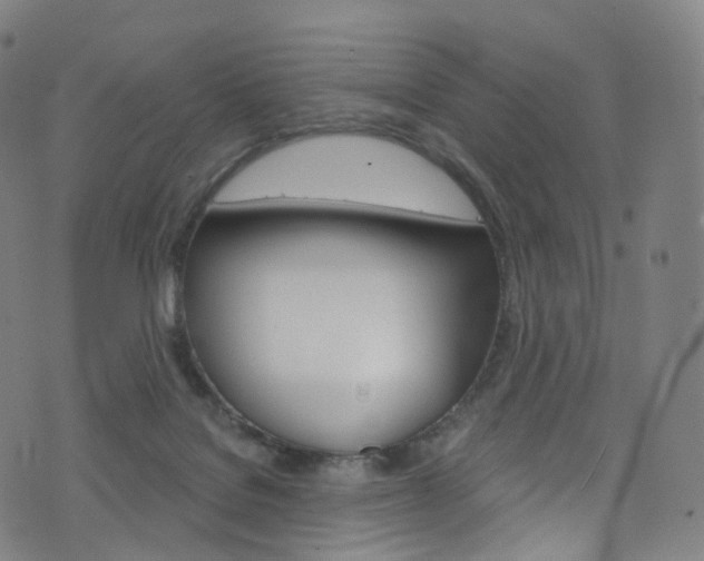 X0000076380076200610060936