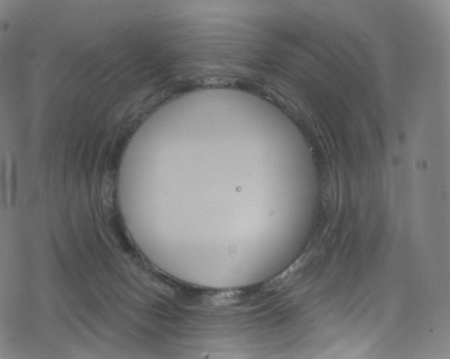 X0000076380078200610060936