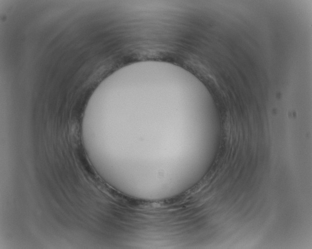 X0000076380079200610060936