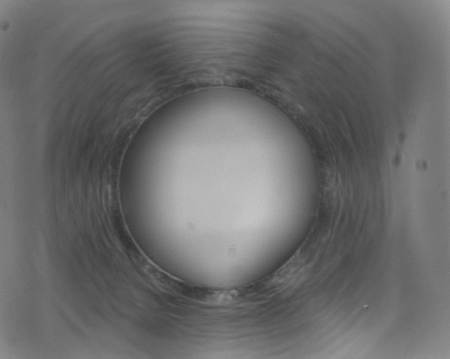 X0000076380080200610060936