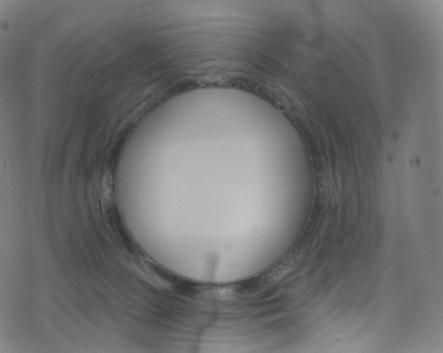 X0000076380081200610060936