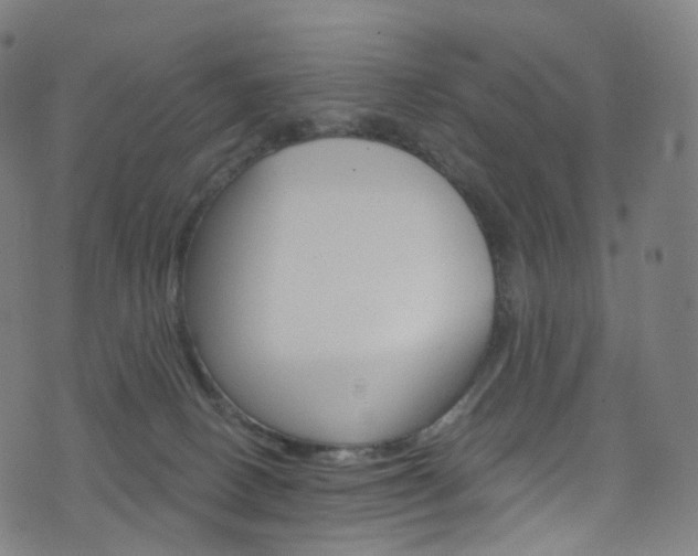 X0000076380082200610060937