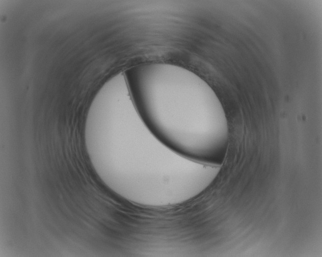 X0000076380083200610060937