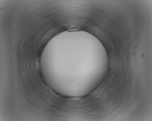 X0000076380085200610060937