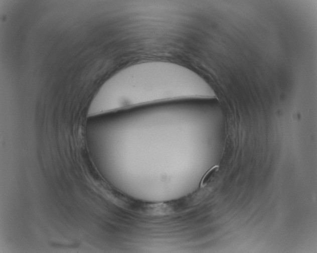 X0000076380087200610060937