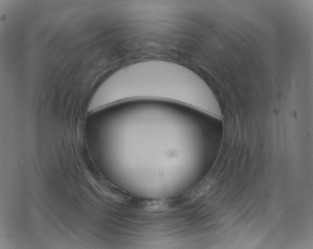 X0000076380088200610060937