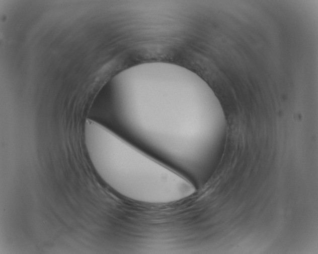 X0000076380089200610060937