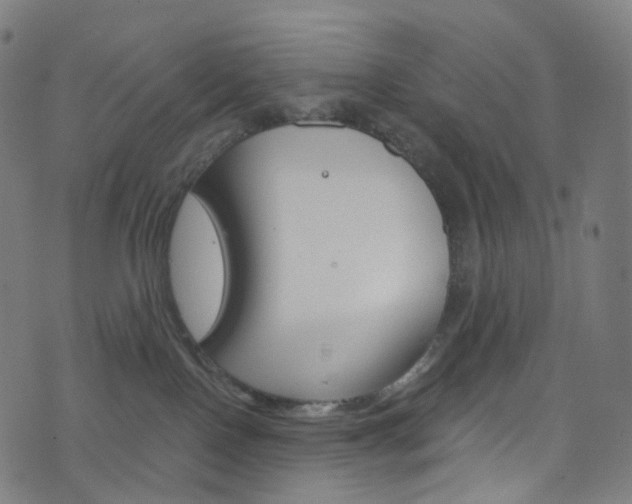 X0000076380090200610060937