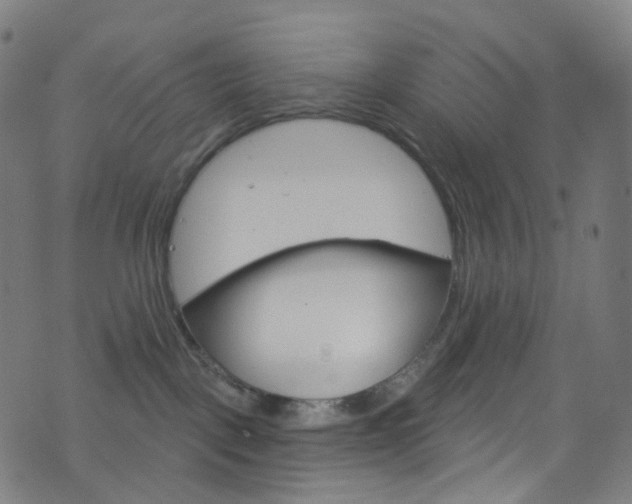 X0000076380093200610060937