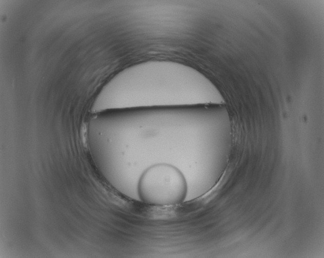 X0000076380094200610060937