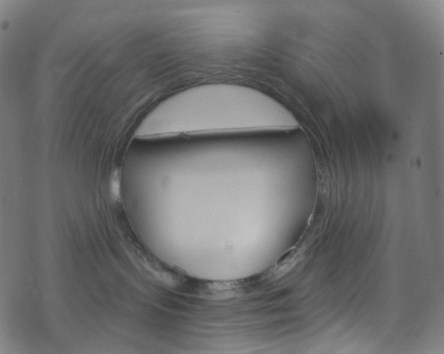 X0000076380095200610060937