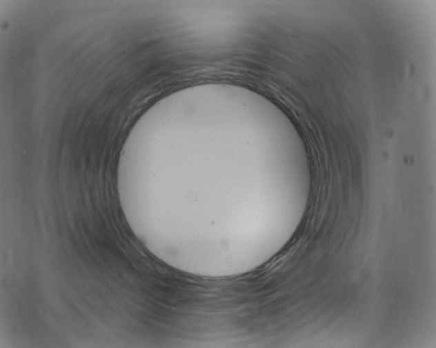 X0000076380096200610060937