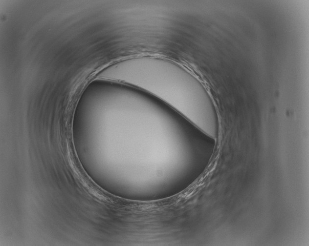 X0000076380097200610060936