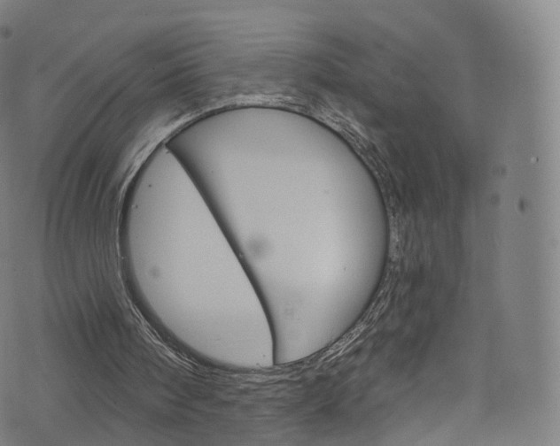 X0000076380098200610060936