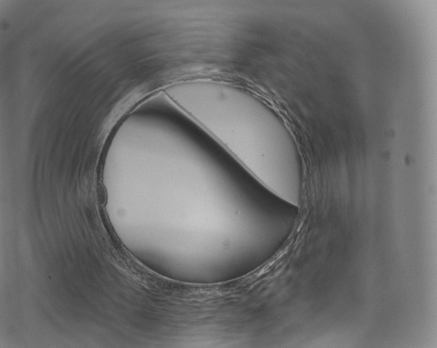 X0000076380099200610060936