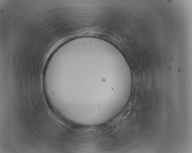 X0000076380100200610060936