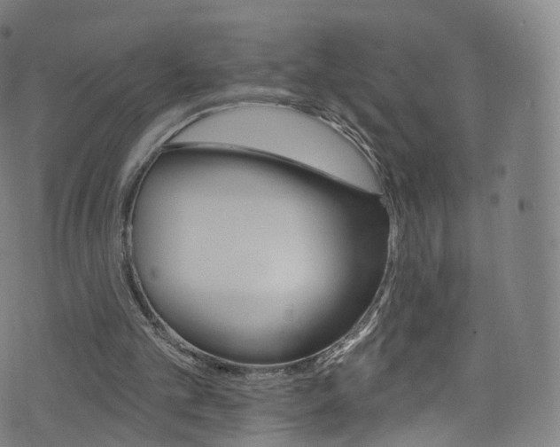 X0000076380101200610060936