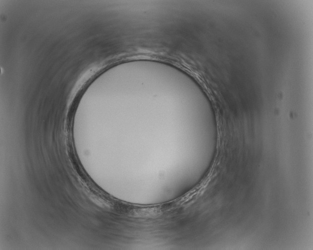 X0000076380102200610060936