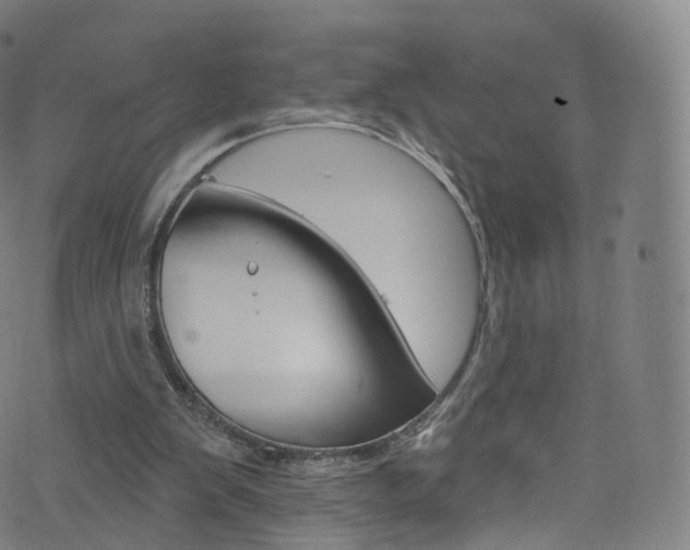 X0000076380103200610060936