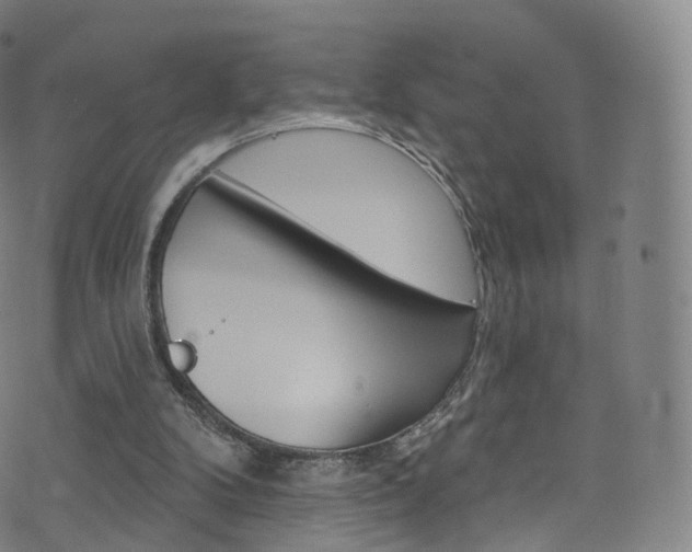 X0000076380104200610060936