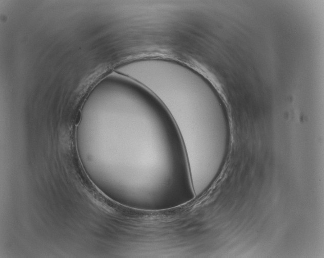 X0000076380105200610060936