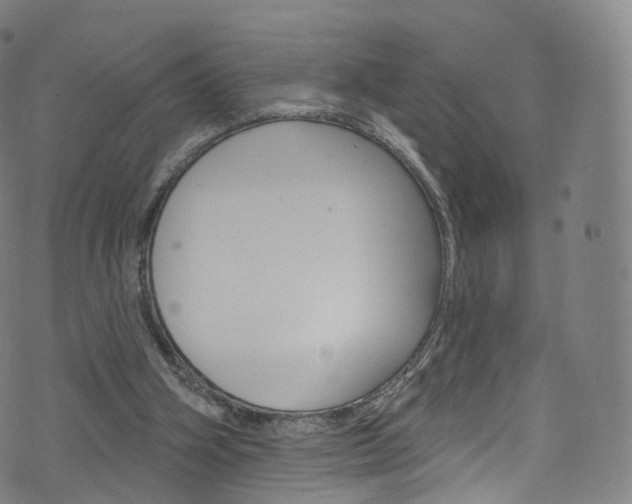 X0000076380106200610060936