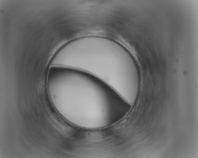 X0000076380107200610060936