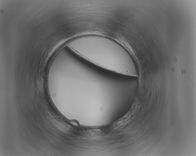 X0000076380108200610060936