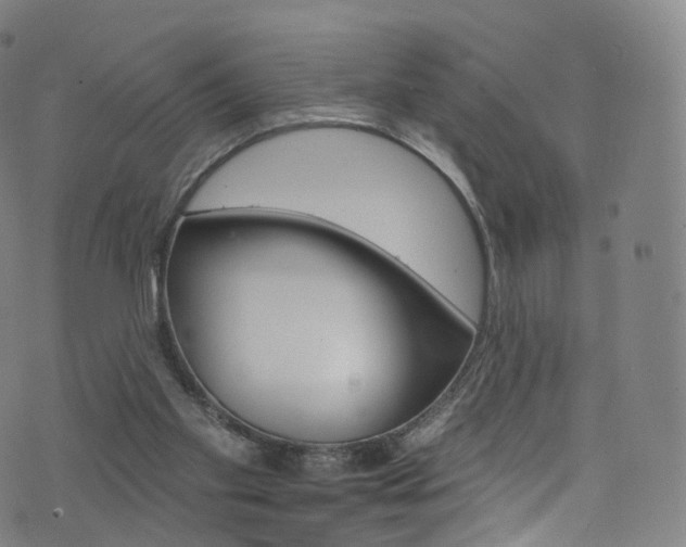 X0000076380109200610060936