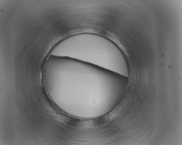 X0000076380110200610060936