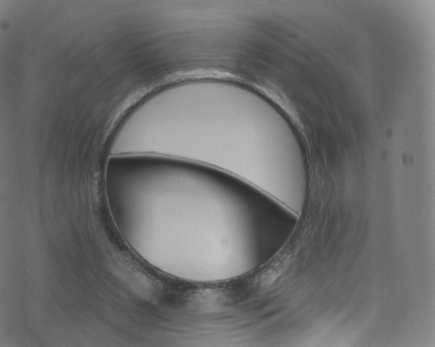 X0000076380111200610060936