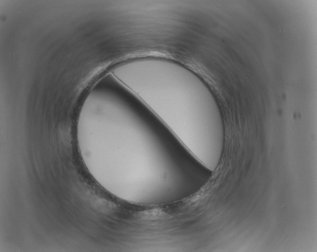 X0000076380112200610060936